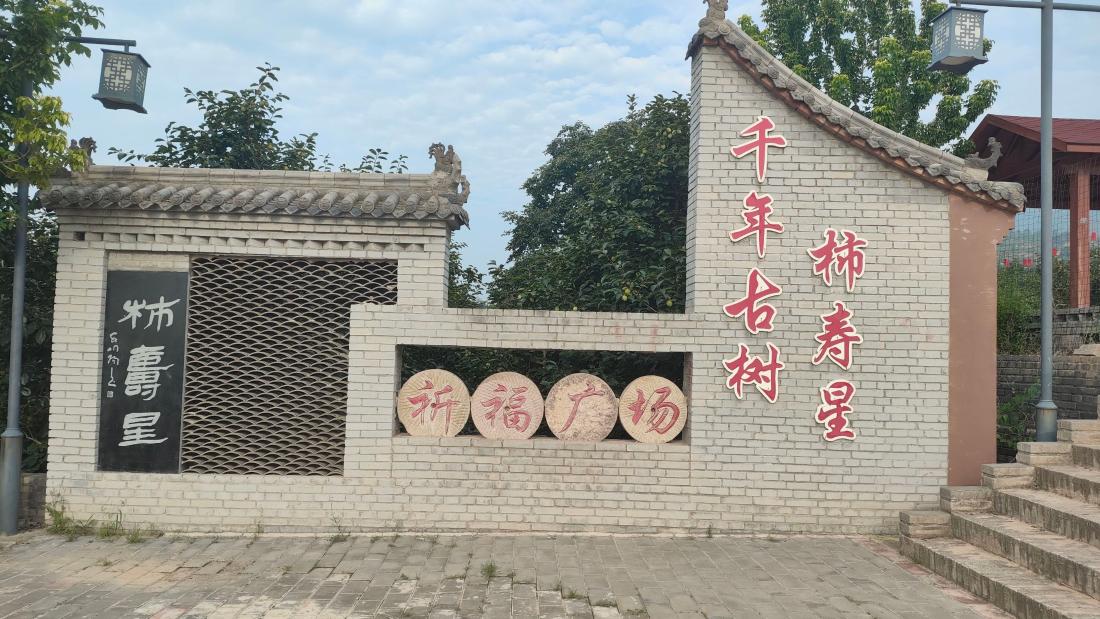 图2：当地特色柿景观.jpg